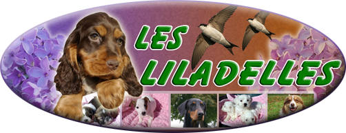 logo Les Liladelles